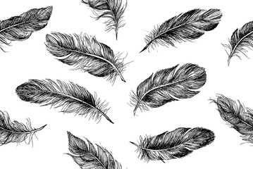 Hand drawn feathers. Doodle sketch. Vector set.