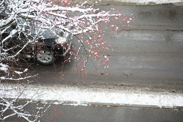 Winter Park. Landscape in snowy weather. January.