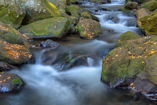 River Vydra, moss covered stones, Sumava National Park, Bohemia, Czech Republic, Europe