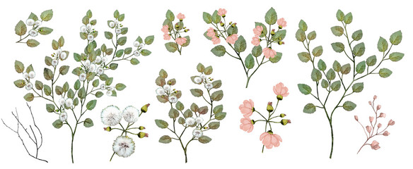 Watercolor illustration. Botanical collection of wild and garden plants. Set: leaves, flowers, branches, herbs and other natural elements. Pink flowers. - 273625825