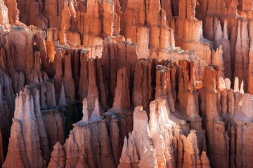View of coloured rock formations, fairy chimneys, morning light, Bryce Canyon National Park, Utah, USA, North America
