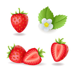 Realistic sweet strawberry set with leaves and flowers, fresh red berries, isolated on white background vector illustration.