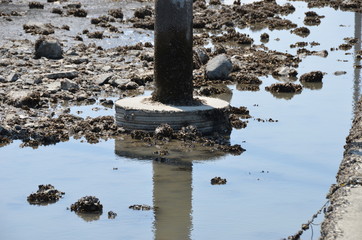 Telephone pole showing appearance at low tide