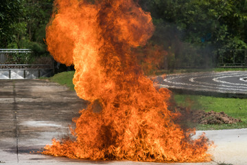 Fire