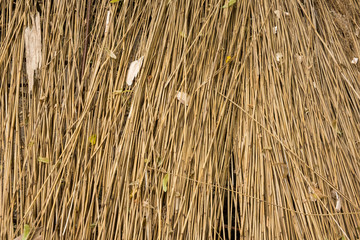 A wall made of dry cane with wood chips as a background