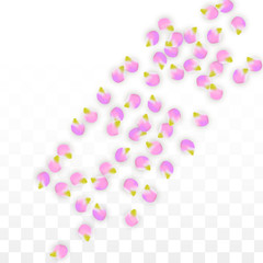 Vector Realistic Pink Petals Falling on Transparent Background.  Spring Romantic Flowers Illustration. Flying Petals. Sakura Spa Design. Blossom Confetti.