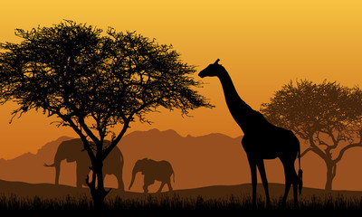 Fototapeta na wymiar Realistic illustration of African safari with mountain landscape, trees and elephant and giraffe. Under the orange sky with rising sun, vector