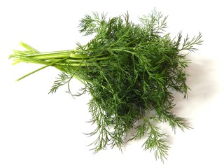 A bunch of fresh green dill. Photos of dill close-up.
