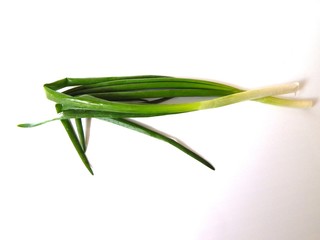 Fototapeta premium Spring onion isolated on white background. Stalk of green fresh onions close-up.