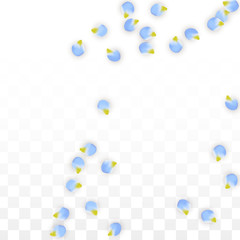Vector Realistic Blue Petals Falling on Transparent Background.  Spring Romantic Flowers Illustration. Flying Petals. Sakura Spa Design. Blossom Confetti.