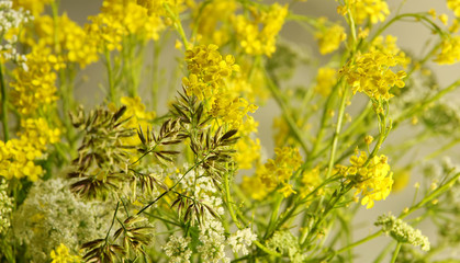 Floral background. yellow Golden white rustic field flowers
