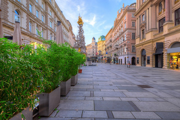 Graben Street in Vienna with the Plague Column, Austria, morning view