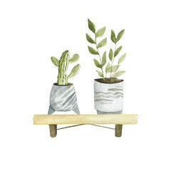 Watercolor composition of ethnic plants. Ethnic pots with tiger stripes.