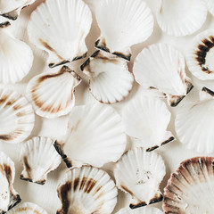 Sea shells pattern on white background. Flat lay, top view minimal scallop texture.