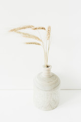 Wheat spikes bouquet in wooden vase on white background. Minimal floral composition.