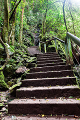 Stone stairs up to the mountain through the jungle