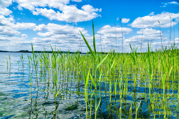 Über den Krakower See in Mecklenburg Vorpommern