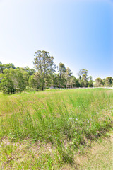 Obraz premium Colorful green lawns ground near forest with trees.