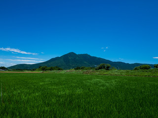 新緑の筑波山