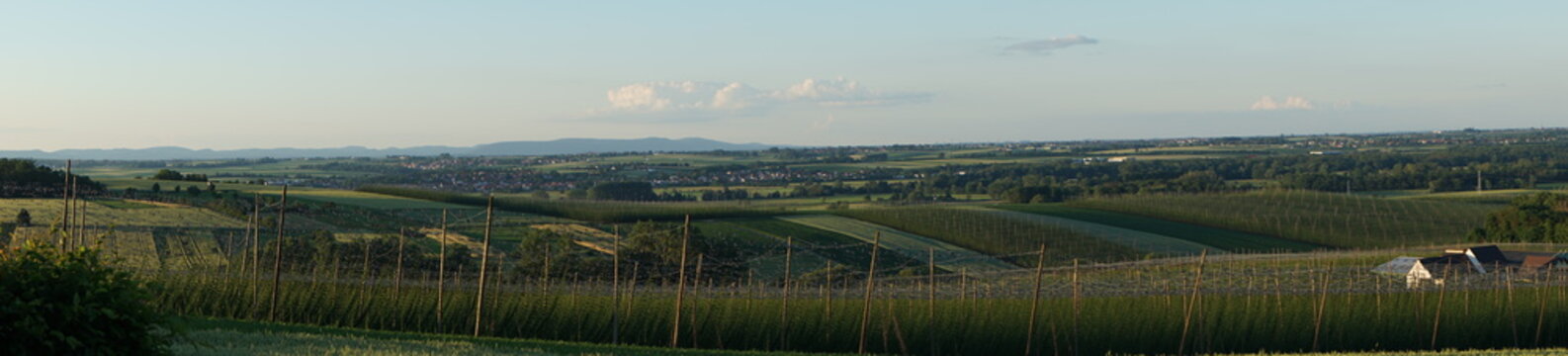 panorama houblon hochfelden