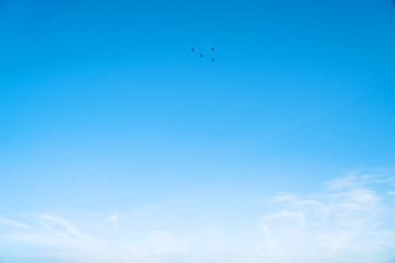 Background sky,Bright and enjoy your eye with the sky refreshing in Phuket Thailand.