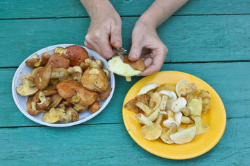 Cleaning of forest wild mushrooms