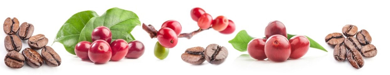 Collection of coffee beans isolated on white background - obrazy, fototapety, plakaty