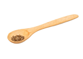 Dry cumin in spoon