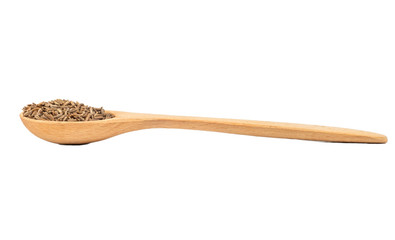 Dry cumin in spoon