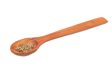 Dry cumin in spoon