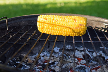 Corncob on hot round shape charcoal grill. Copy space.