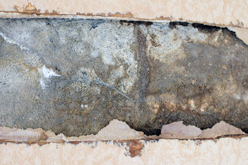Water has leaked from chimney pass-through in old house and caused moisture damage to the wall. Part of wallpaper has removed to check the problem. Close up image.