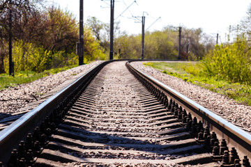 Fototapeta premium Empty Railroad Tracks Running In a Forest at sunny summer day.