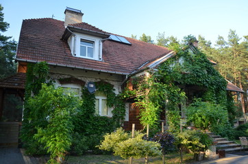 old house with garden