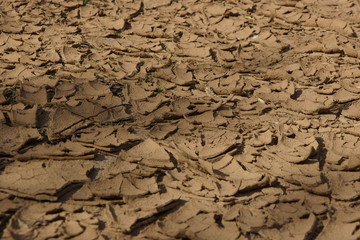 shell of earth cracked dried bark sand clay without water background