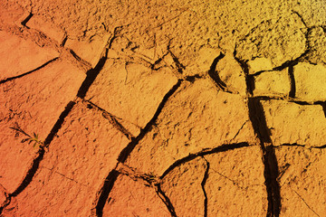 shell of earth cracked dried bark sand clay without water background
