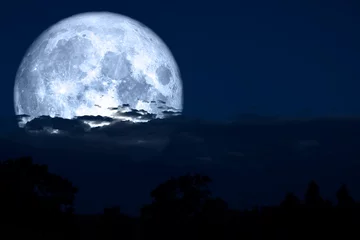 Papier Peint photo Pleine Lune arbre pleine lune de carême de retour sur le nuage de silhouette et la montagne sur le ciel nocturne