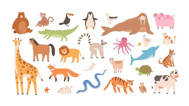 Collection of funny adorable wild exotic and domestic animals - cute mammals, reptiles, birds isolated on white background. Set of childish design elements. Vector illustration in flat cartoon style.