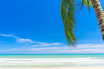 Copy space of tropical beach with palm tree on blue sky and white clouds abstract background.