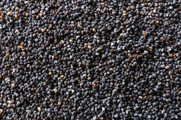 Many poppy seeds as background