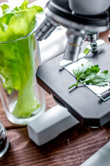 concept healthy food inspection herbs in laboratory
