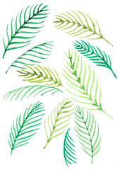 Fototapeta na wymiar Palm leaves pattern. Watercolor hand drawn illustration.