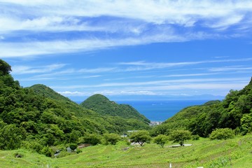 Obraz premium 松崎町 初夏の石部の棚田