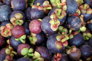 Fresh Purple Mangosteens - Popular Southeast Asia Tropical Fruits