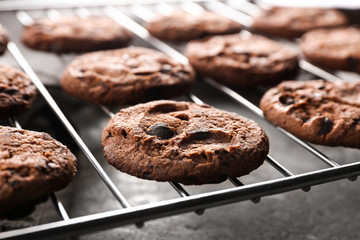 Tasty chocolate cookies on cooling rack, closeup