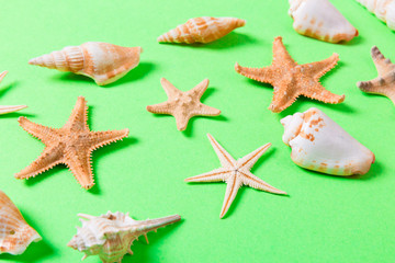 Fototapeta na wymiar sea shells and starfish on a greenbackground and sand. Vacation time concept