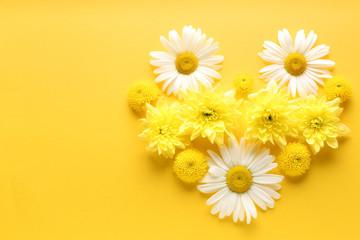 Beautiful heart made of flowers on color background