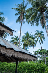 Rustic house with dry leaf roof.