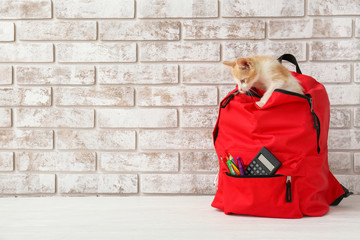 School backpack with cute kitten on table against brick wall