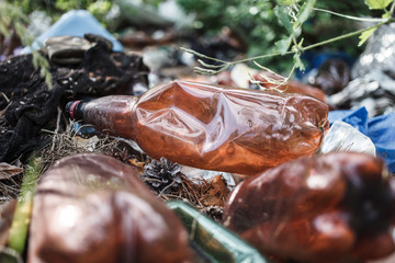  Ecology problem.Empty plastic in the forest. Environmental pollution.